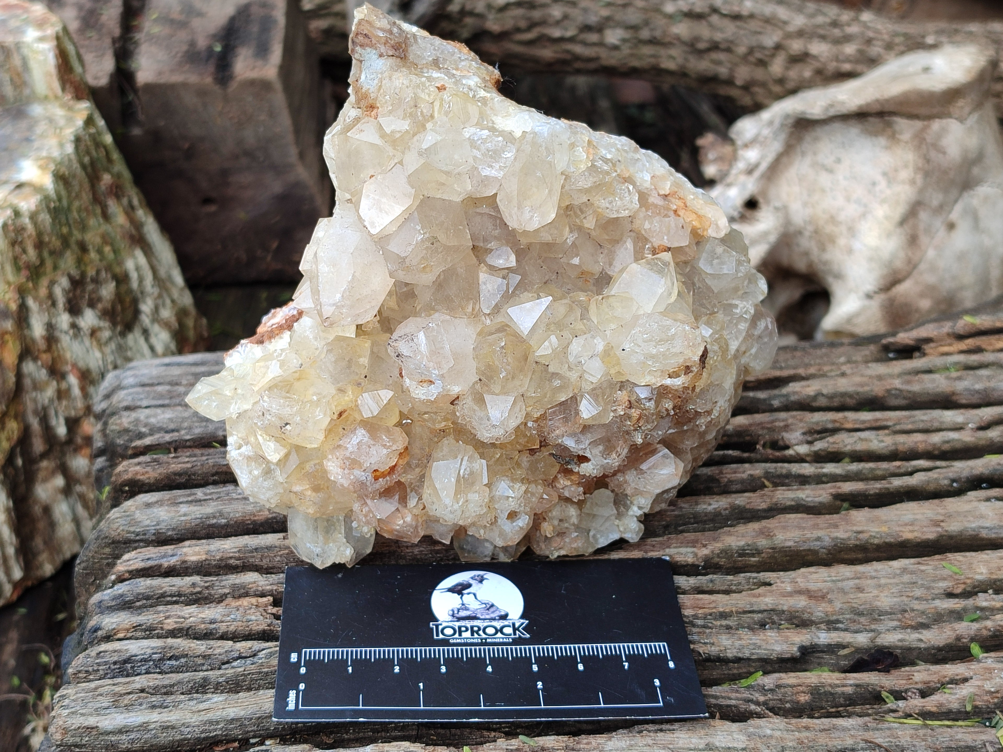 Natural Limonite Quartz Clusters x 2 From Solwezi, Zambia - Toprock Gemstones and Minerals 