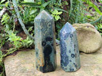 Polished Stromatolite Jasper Points x 2 From Katsepy, Madagascar