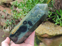 Polished Stromatolite Jasper Points x 2 From Katsepy, Madagascar