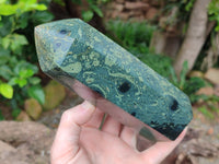 Polished Stromatolite Jasper Points x 2 From Katsepy, Madagascar