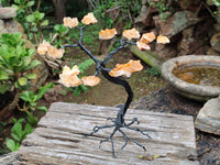 Hand Made Limonite Copper Wire Wrap Tree On Cobbed Crystal Base From KwaZulu, Natal, South Africa
