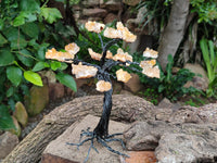 Hand Made Limonite Copper Wire Wrap Tree On Cobbed Crystal Base From KwaZulu, Natal, South Africa