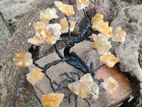 Hand Made Limonite Copper Wire Wrap Tree On Cobbed Crystal Base From KwaZulu, Natal, South Africa