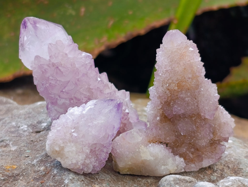 Natural Ametrine Spirit Quartz Clusters x 35 From Boekenhouthoek, South Africa - Toprock Gemstones and Minerals 
