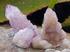 Natural Ametrine Spirit Quartz Clusters x 35 From Boekenhouthoek, South Africa - Toprock Gemstones and Minerals 