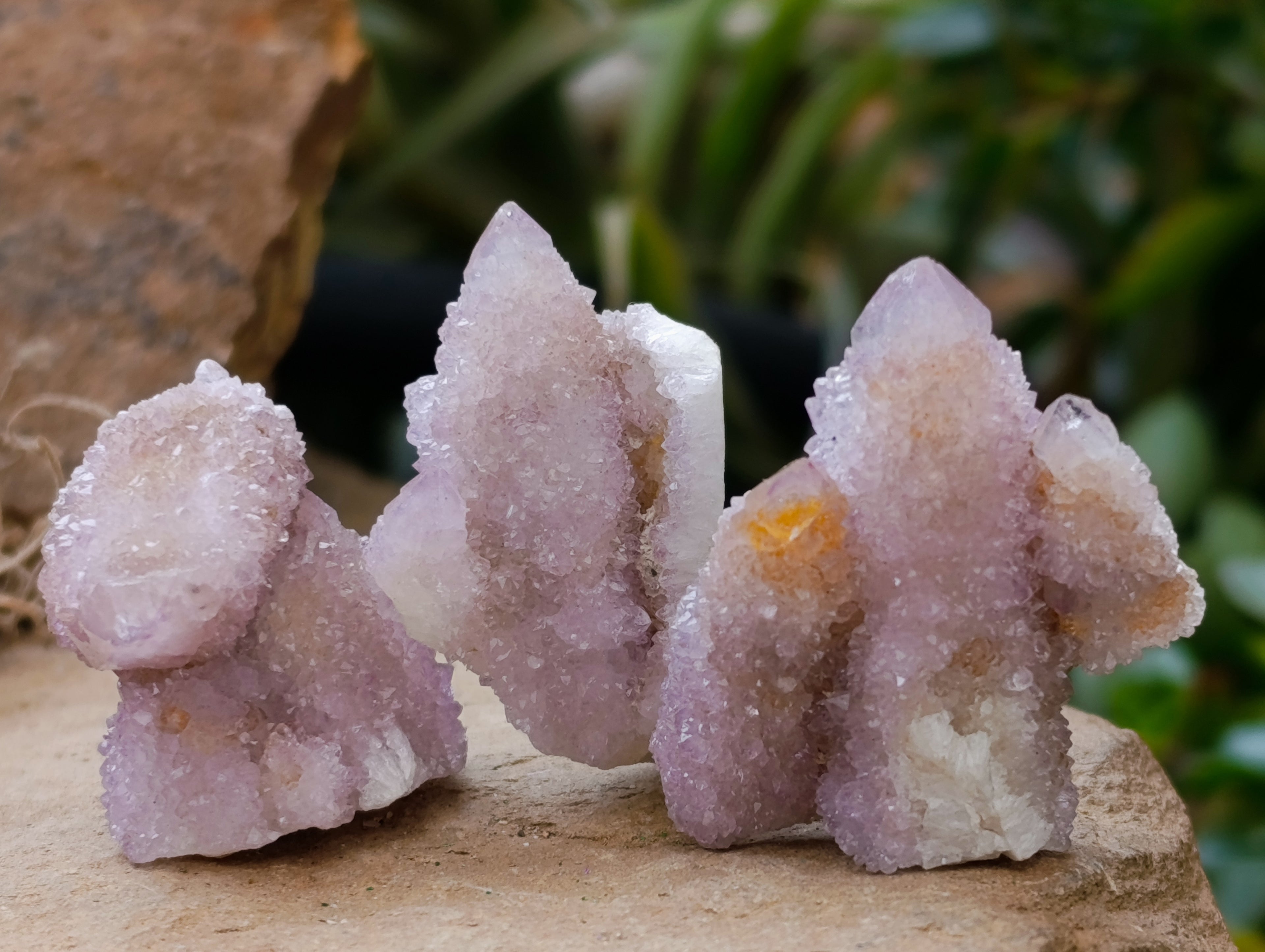 Natural Ametrine Spirit Quartz Clusters x 35 From Boekenhouthoek, South Africa - Toprock Gemstones and Minerals 