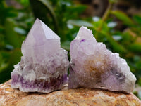 Natural Ametrine Spirit Quartz Clusters x 35 From Boekenhouthoek, South Africa
