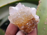 Natural Ametrine Spirit Quartz Clusters x 35 From Boekenhouthoek, South Africa