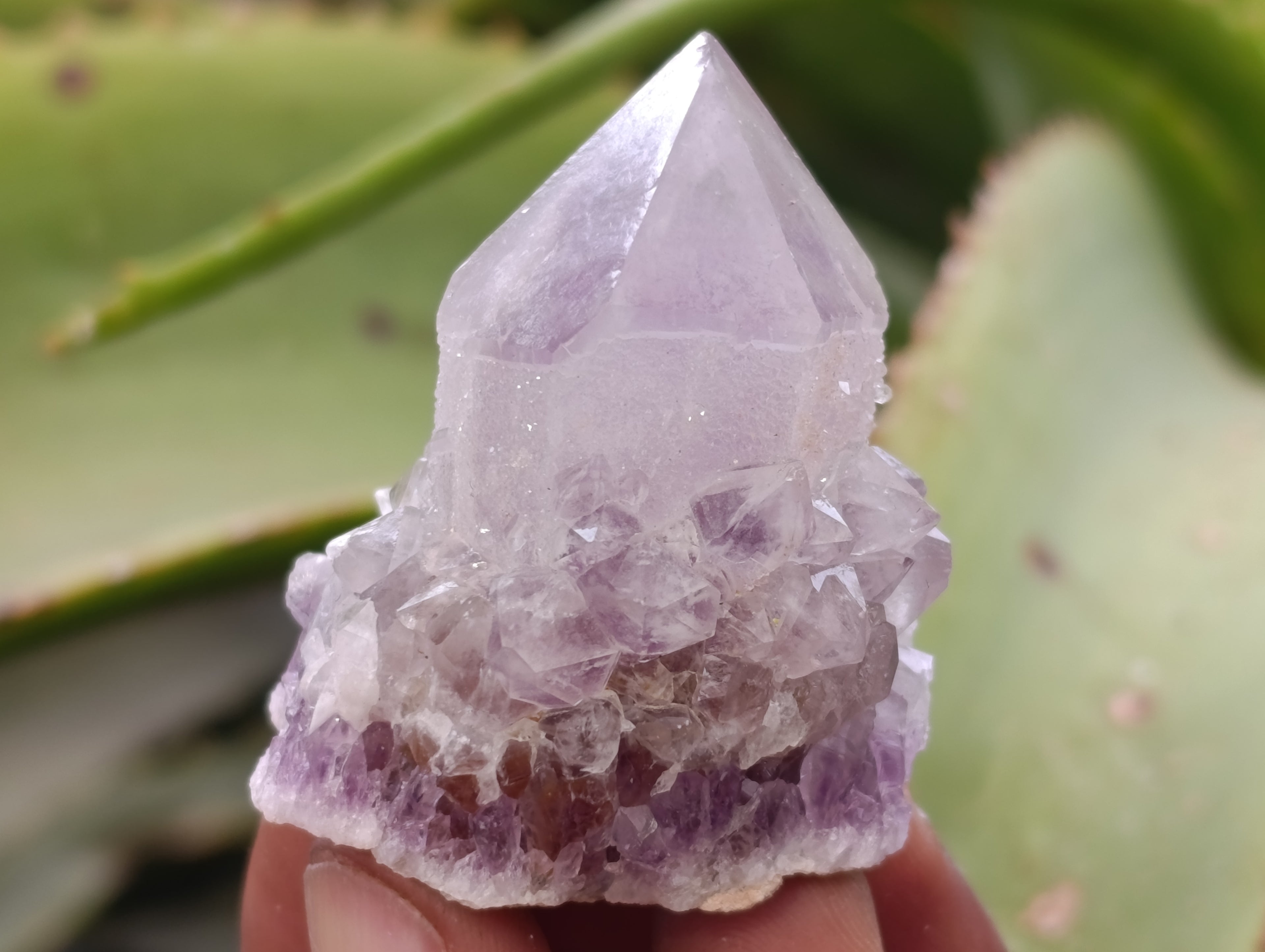 Natural Ametrine Spirit Quartz Clusters x 35 From Boekenhouthoek, South Africa - Toprock Gemstones and Minerals 