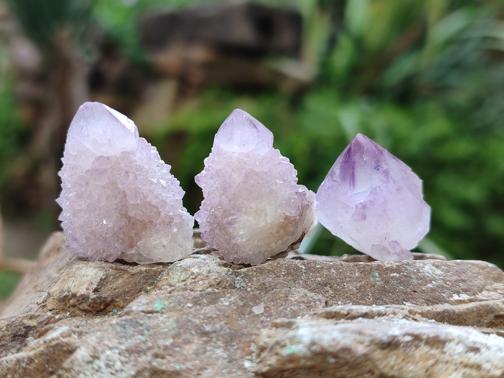 Natural Ametrine Spirit Quartz Clusters x 35 From Boekenhouthoek, South Africa - Toprock Gemstones and Minerals 