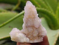 Natural Ametrine Spirit Quartz Clusters x 35 From Boekenhouthoek, South Africa