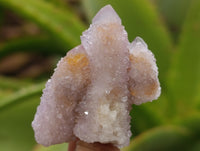 Natural Ametrine Spirit Quartz Clusters x 35 From Boekenhouthoek, South Africa