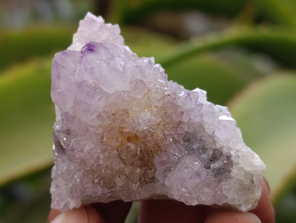 Natural Ametrine Spirit Quartz Clusters x 35 From Boekenhouthoek, South Africa - Toprock Gemstones and Minerals 