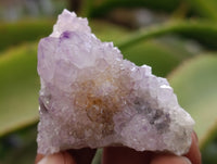 Natural Ametrine Spirit Quartz Clusters x 35 From Boekenhouthoek, South Africa