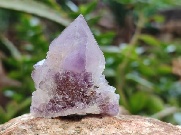 Natural Ametrine Spirit Quartz Clusters x 35 From Boekenhouthoek, South Africa