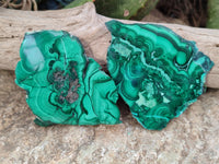 Polished Flower Banded Malachite Slices x 12 From Congo