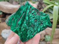 Polished Flower Banded Malachite Slices x 12 From Congo
