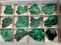 Polished Flower Banded Malachite Slices x 12 From Congo