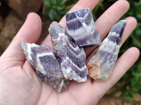 Natural Witches Hat Chevron Amethyst Crystals x 3.05 Kg Lot from Zambia
