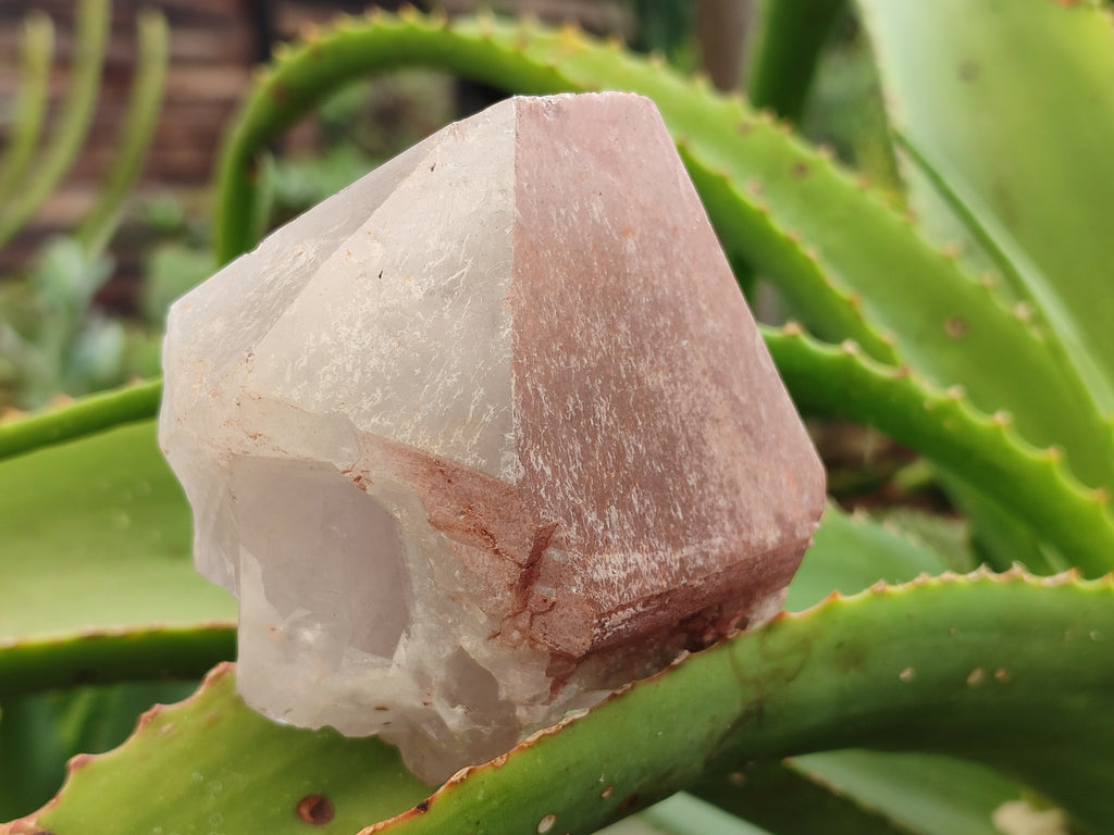 Natural Smokey Hematoid Quartz Crystals x 12 From Ambositra, Madagascar - Toprock Gemstones and Minerals 