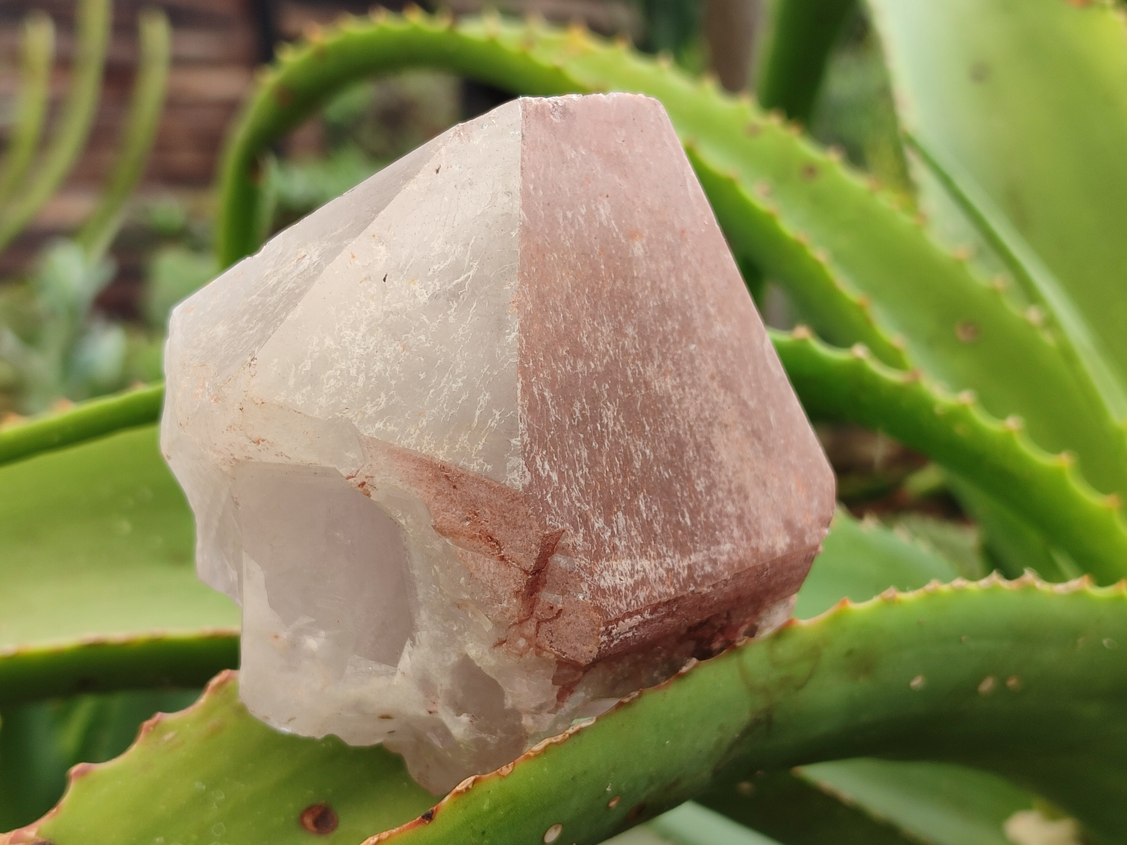 Natural Smokey Hematoid Quartz Crystals x 12 From Ambositra, Madagascar - Toprock Gemstones and Minerals 