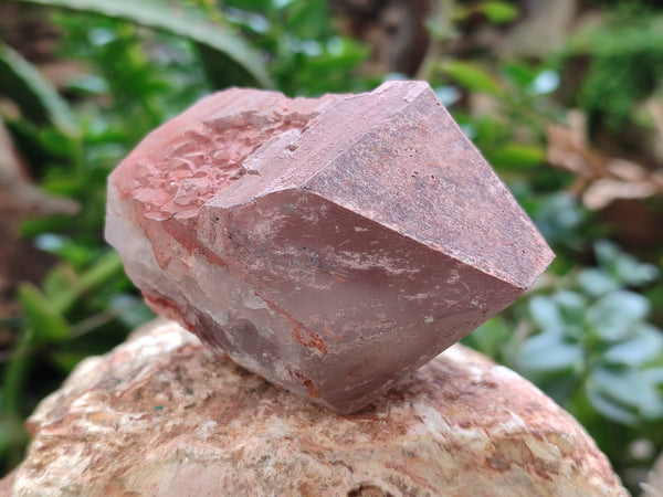Natural Smokey Hematoid Quartz Crystals x 12 From Ambositra, Madagascar