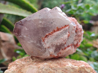 Natural Smokey Hematoid Quartz Crystals x 12 From Ambositra, Madagascar