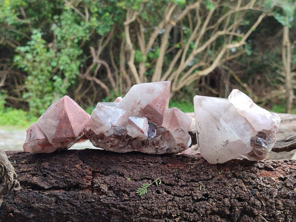 Natural Smokey Hematoid Quartz Crystals x 12 From Ambositra, Madagascar - Toprock Gemstones and Minerals 