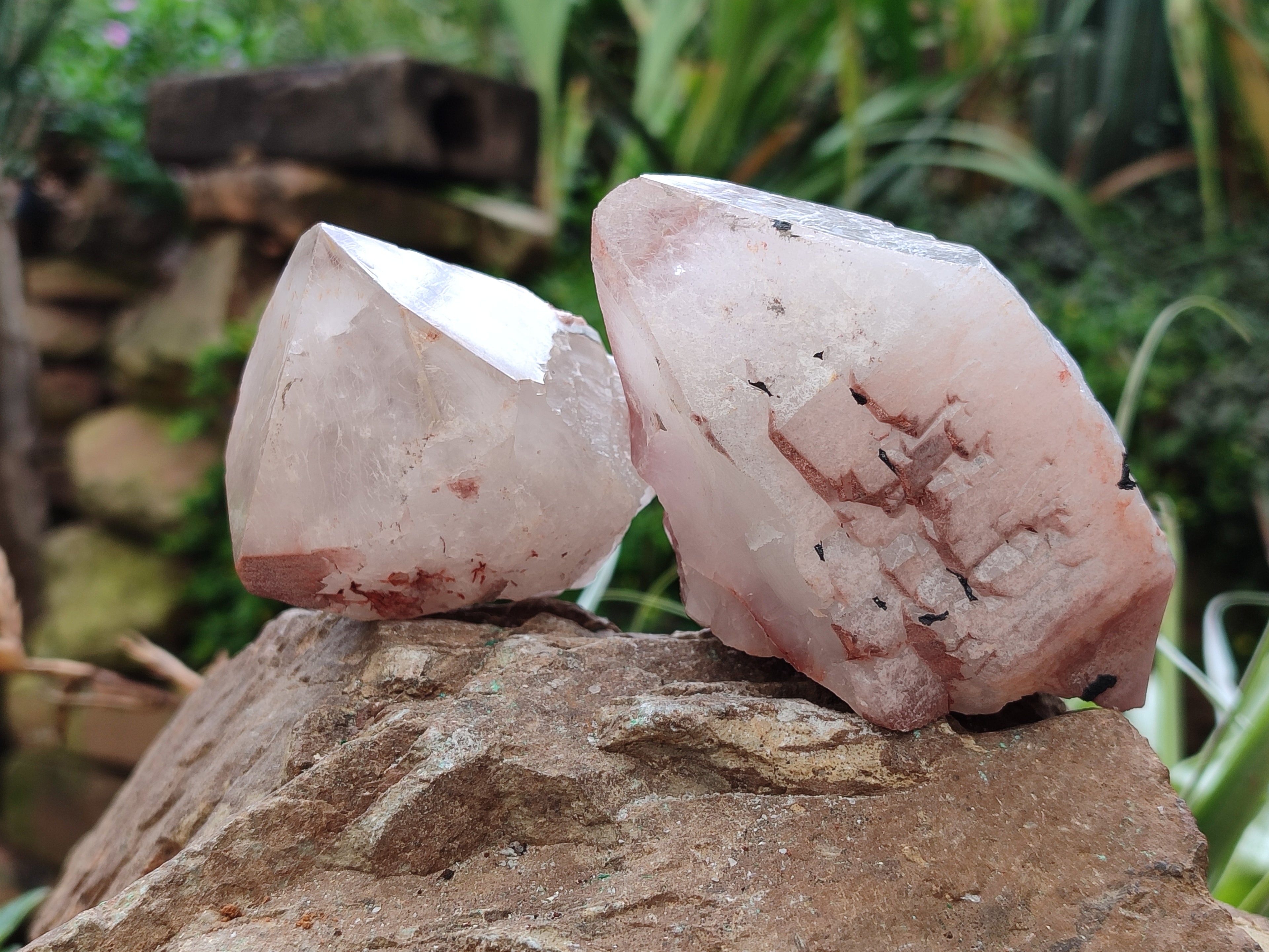 Natural Smokey Hematoid Quartz Crystals x 12 From Ambositra, Madagascar - Toprock Gemstones and Minerals 