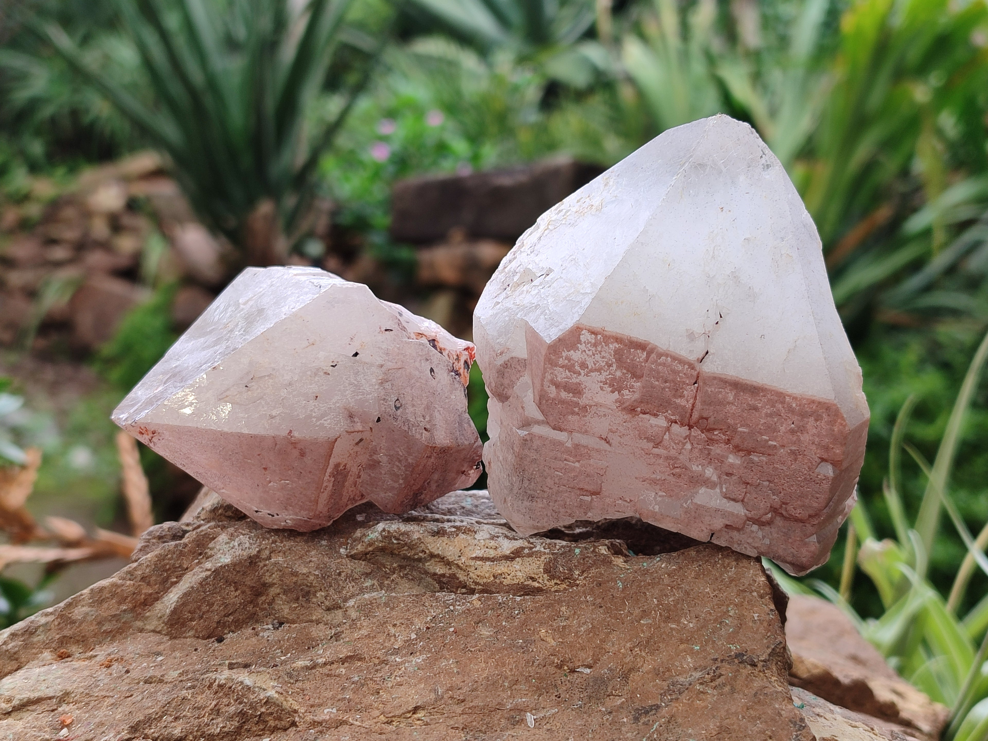 Natural Smokey Hematoid Quartz Crystals x 12 From Ambositra, Madagascar - Toprock Gemstones and Minerals 
