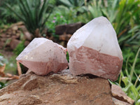 Natural Smokey Hematoid Quartz Crystals x 12 From Ambositra, Madagascar