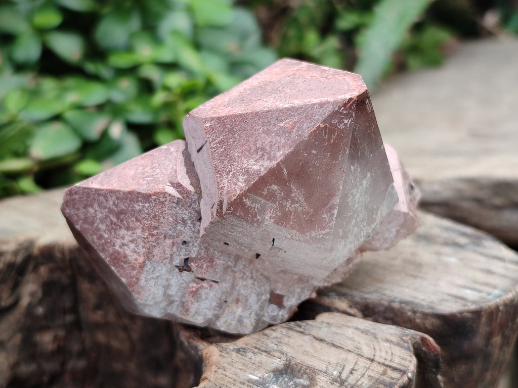 Natural Smokey Hematoid Quartz Crystals x 12 From Ambositra, Madagascar - Toprock Gemstones and Minerals 