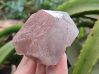 Natural Smokey Hematoid Quartz Crystals x 12 From Ambositra, Madagascar