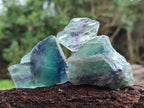 Natural Watermelon Fluorite Cobbed Specimens x 4.02 kg Lot From Uis, Namibia - Toprock Gemstones and Minerals 