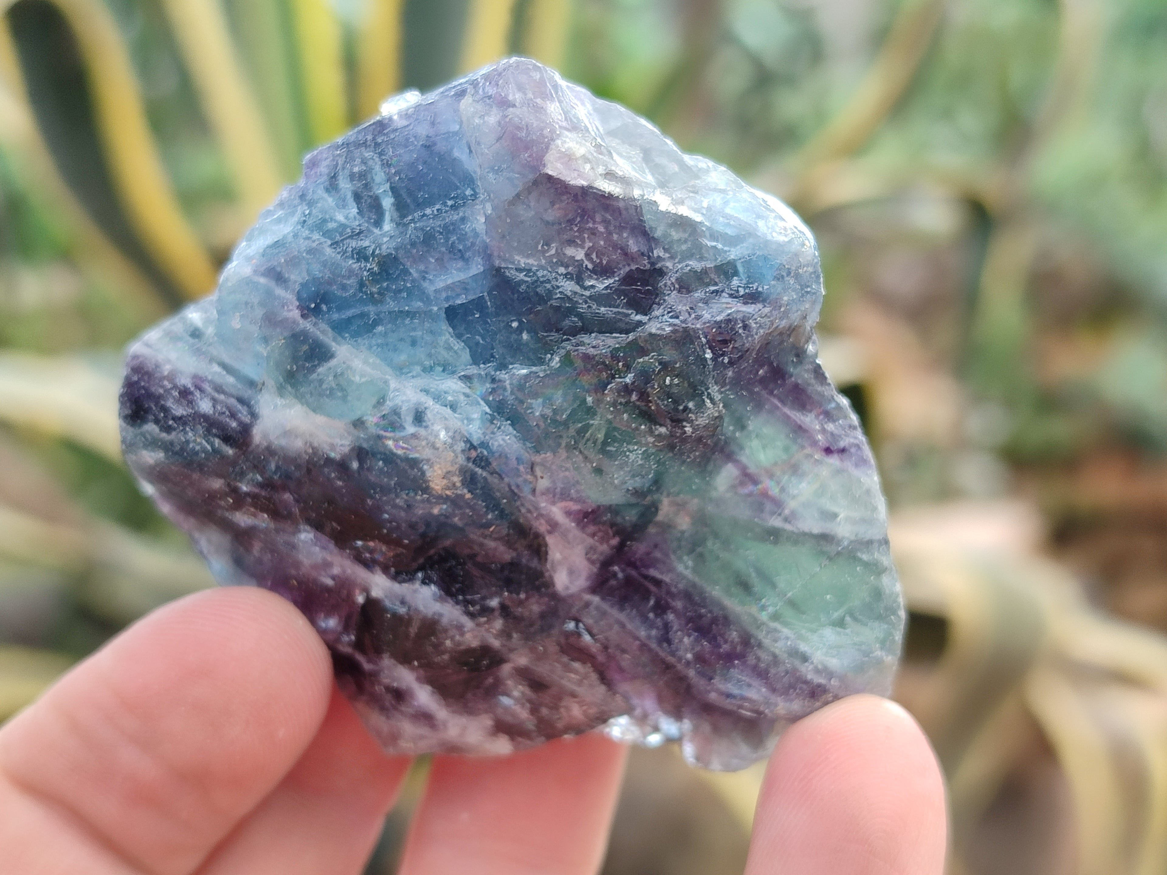 Natural Watermelon Fluorite Cobbed Specimens x 4.02 kg Lot From Uis, Namibia - Toprock Gemstones and Minerals 