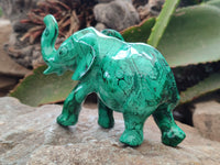 Hand Made Flower Banded Malachite Elephant Carving x 2 From Congo