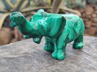 Hand Made Flower Banded Malachite Elephant Carving x 2 From Congo