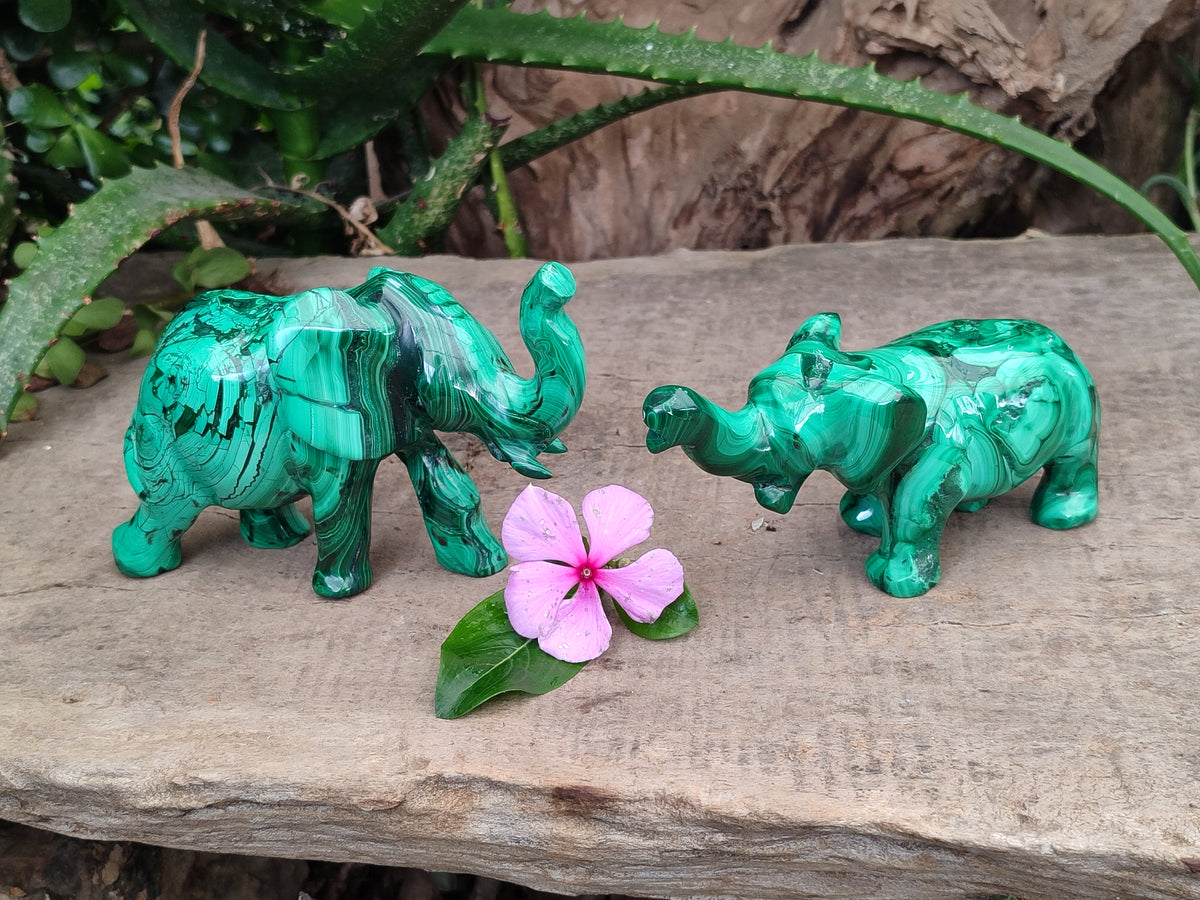 Hand Made Flower Banded Malachite Elephant Carving x 2 From Congo - Toprock Gemstones and Minerals 