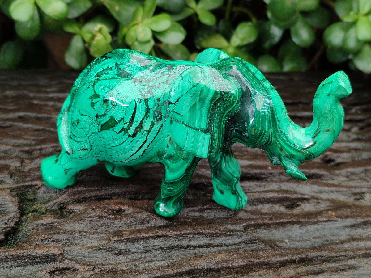 Hand Made Flower Banded Malachite Elephant Carving x 2 From Congo - Toprock Gemstones and Minerals 