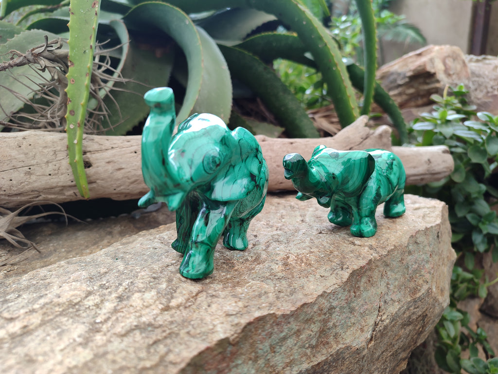 Hand Made Flower Banded Malachite Elephant Carving x 2 From Congo - Toprock Gemstones and Minerals 