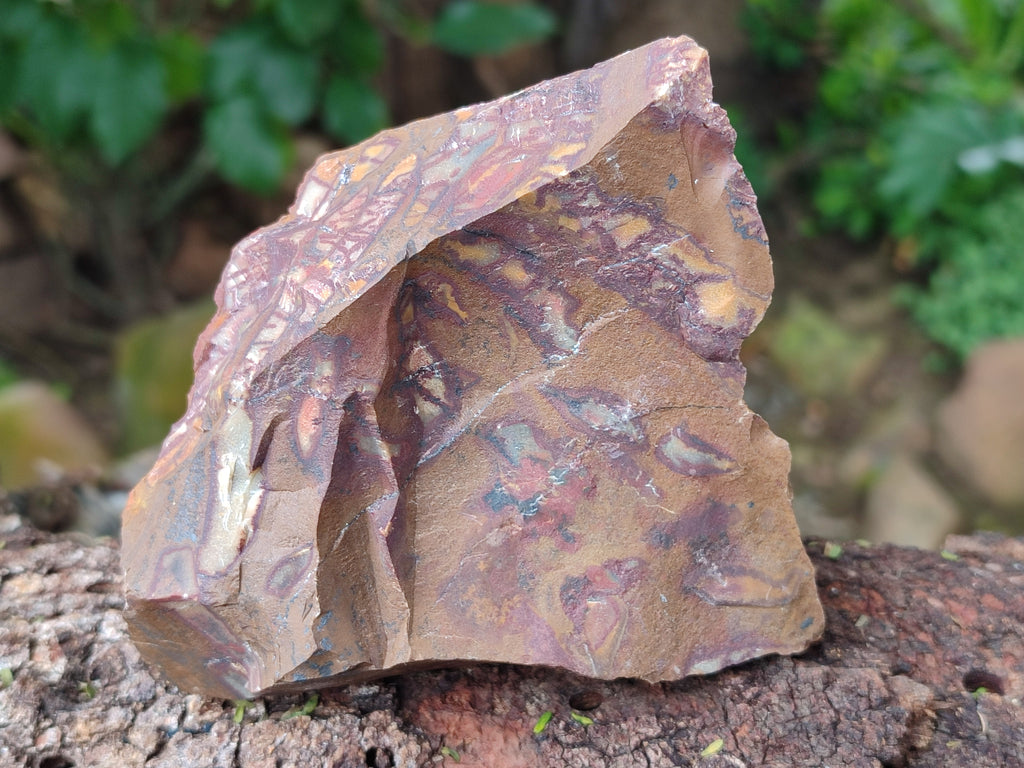 Natural Nguni Jasper Cobbed Specimens x 13 From Prieska, South Africa - Toprock Gemstones and Minerals 