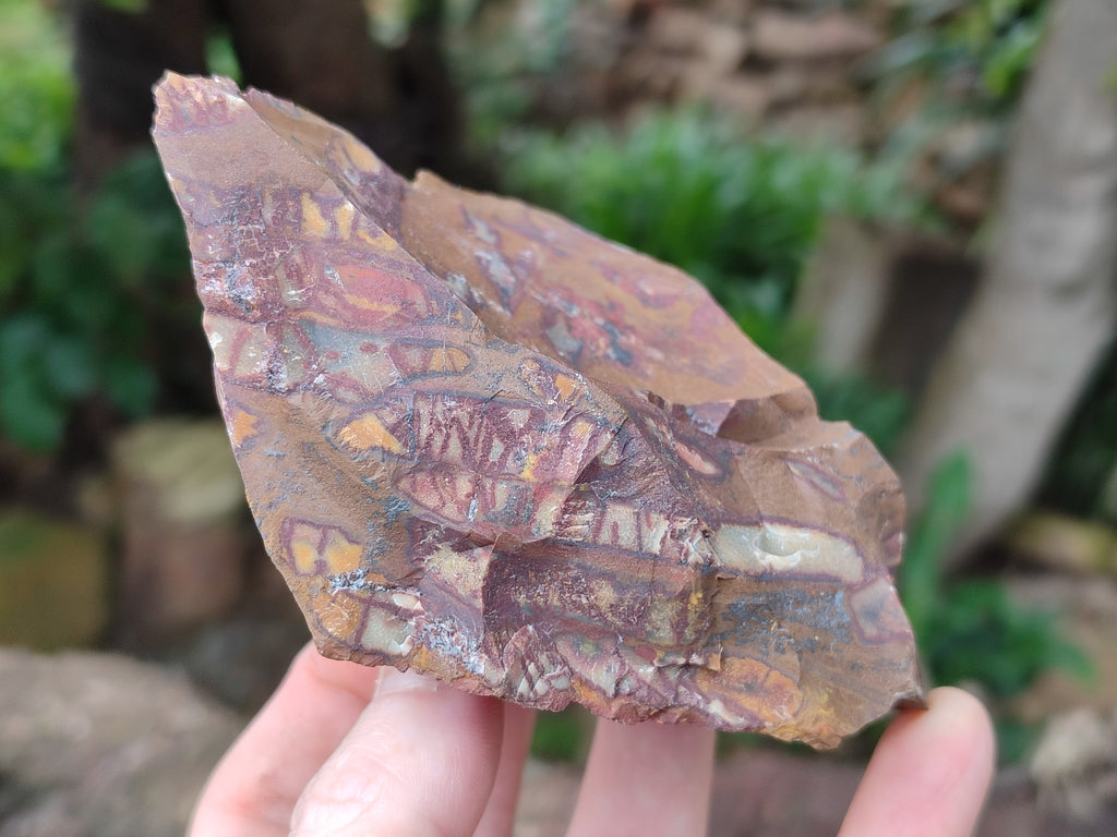 Natural Nguni Jasper Cobbed Specimens x 13 From Prieska, South Africa - Toprock Gemstones and Minerals 