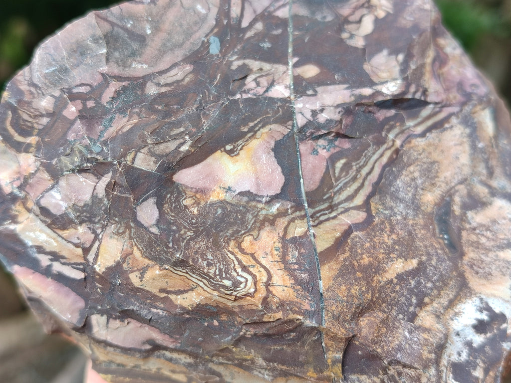 Natural Nguni Jasper Cobbed Specimens x 13 From Prieska, South Africa - Toprock Gemstones and Minerals 