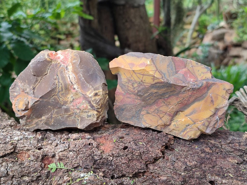 Natural Nguni Jasper Cobbed Specimens x 13 From Prieska, South Africa - Toprock Gemstones and Minerals 