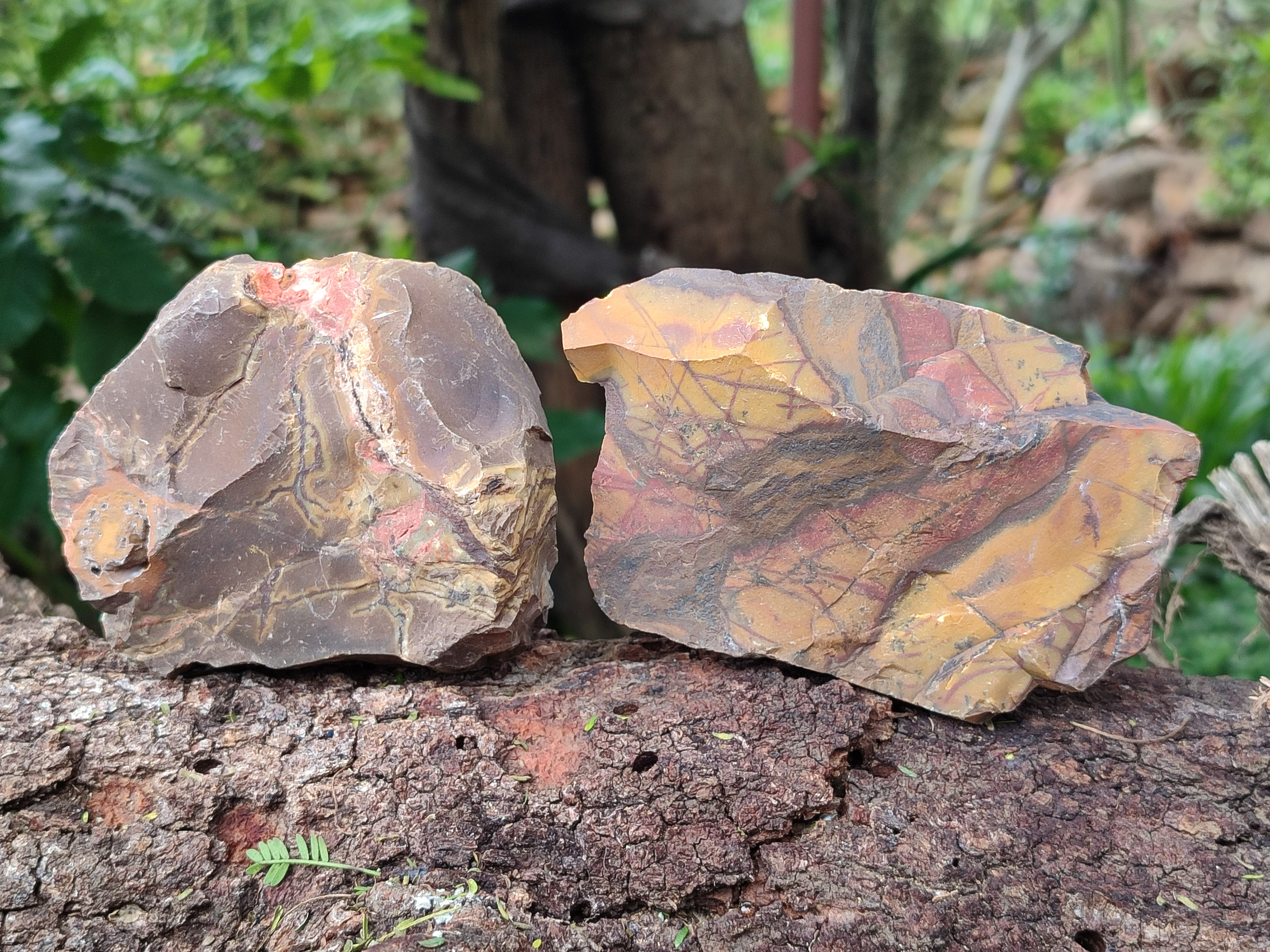 Natural Nguni Jasper Cobbed Specimens x 13 From Prieska, South Africa - Toprock Gemstones and Minerals 