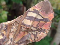 Natural Nguni Jasper Cobbed Specimens x 13 From Prieska, South Africa - Toprock Gemstones and Minerals 