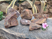 Natural Nguni Jasper Cobbed Specimens x 13 From Prieska, South Africa - Toprock Gemstones and Minerals 