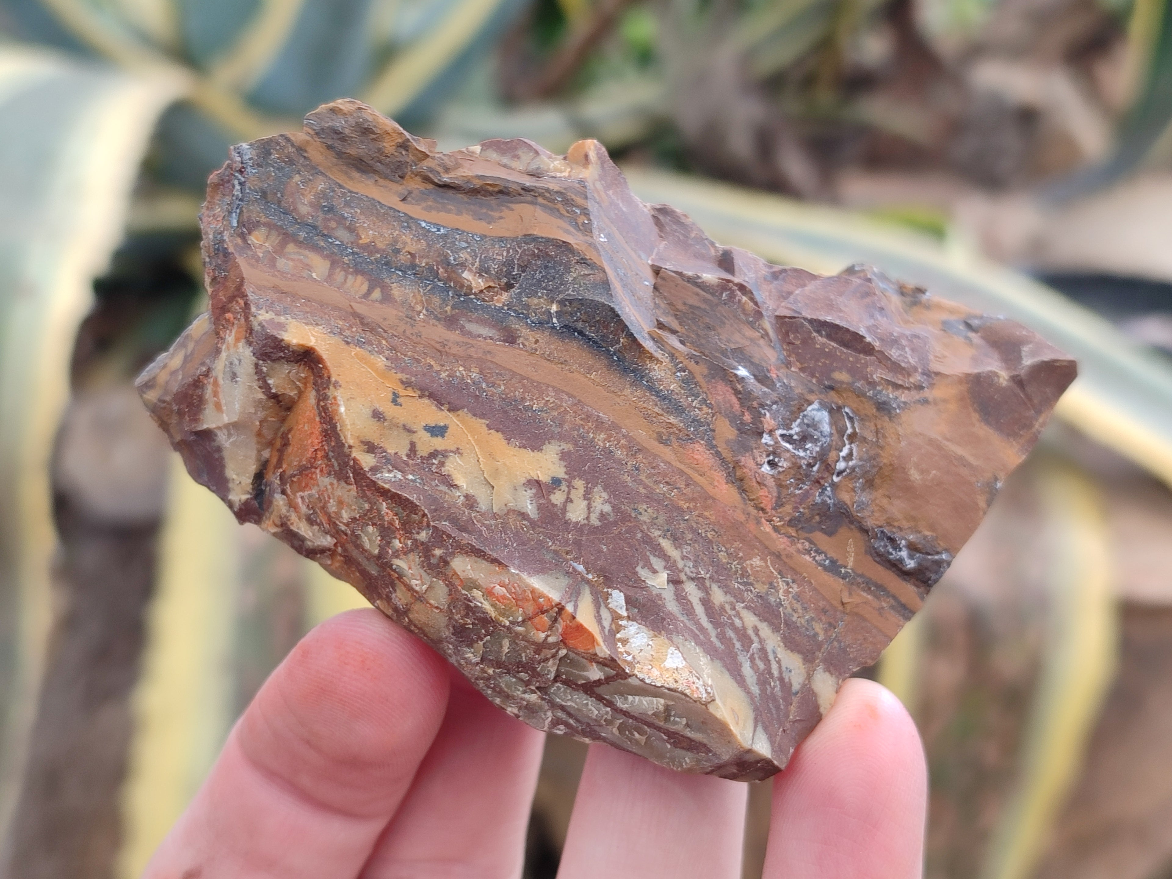 Natural Nguni Jasper Cobbed Specimens x 13 From Prieska, South Africa - Toprock Gemstones and Minerals 