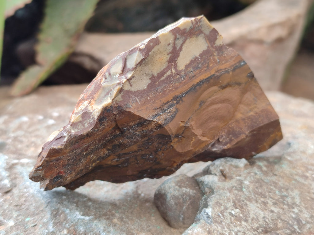 Natural Nguni Jasper Cobbed Specimens x 13 From Prieska, South Africa - Toprock Gemstones and Minerals 