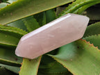 Polished Double Terminated Rose Quartz Points x 3 From Ambatondrazaka, Madagascar - Toprock Gemstones and Minerals 